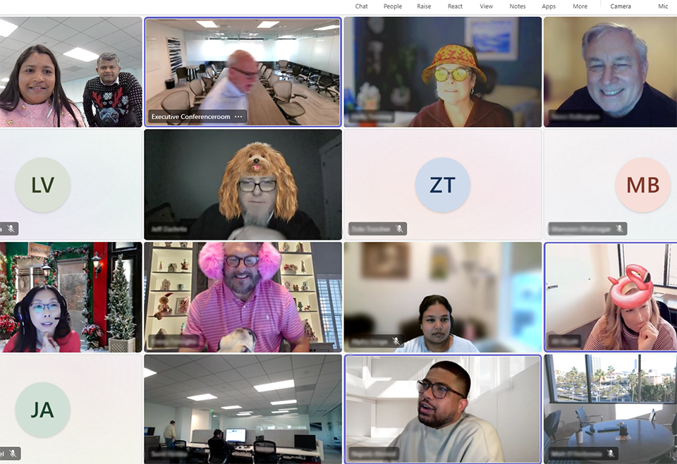 Computer screen displaying Vital Data Technology employees on an interactive conference call on Halloween.